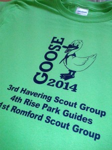 goose scouts